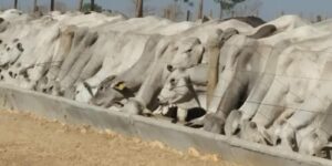 0094d167-ee1f-4493-b463-d5faf936055a