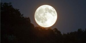 Story-Najla-2024-07-15T144242.091-e1721069181696-750x536