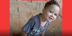 Texto do seu parágrafo