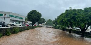 WhatsApp Image 2024-02-21 at 10.18.35