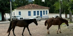 WhatsApp_Image_2024-12-12_at_13.45.57