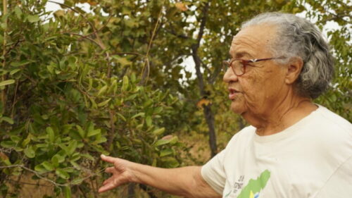 Morre, aos 82 anos, dona Maria Luiza, referência dos saberes tradicionais na cidade de Goiás