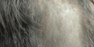 WhatsApp_Image_2026-03-10_at_13.40.56