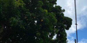 a0bb96b7-800d-43cb-a403-da91ebe96d47