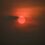 cf9986b4-11ad-4045-ae06-8d57bd937aad